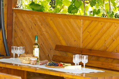 am edersee Weinlaube (1)